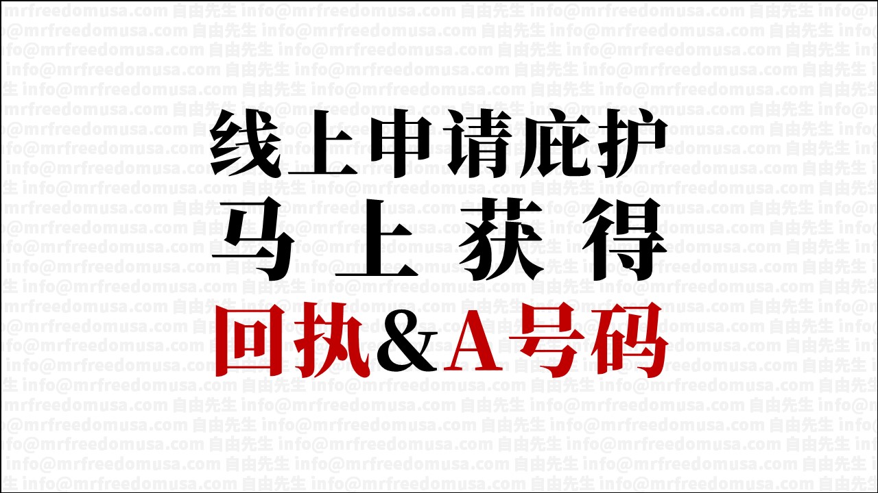 【网络申请庇护】在移民局网站提交庇护申请， 可以马上获得受理回执和A号码