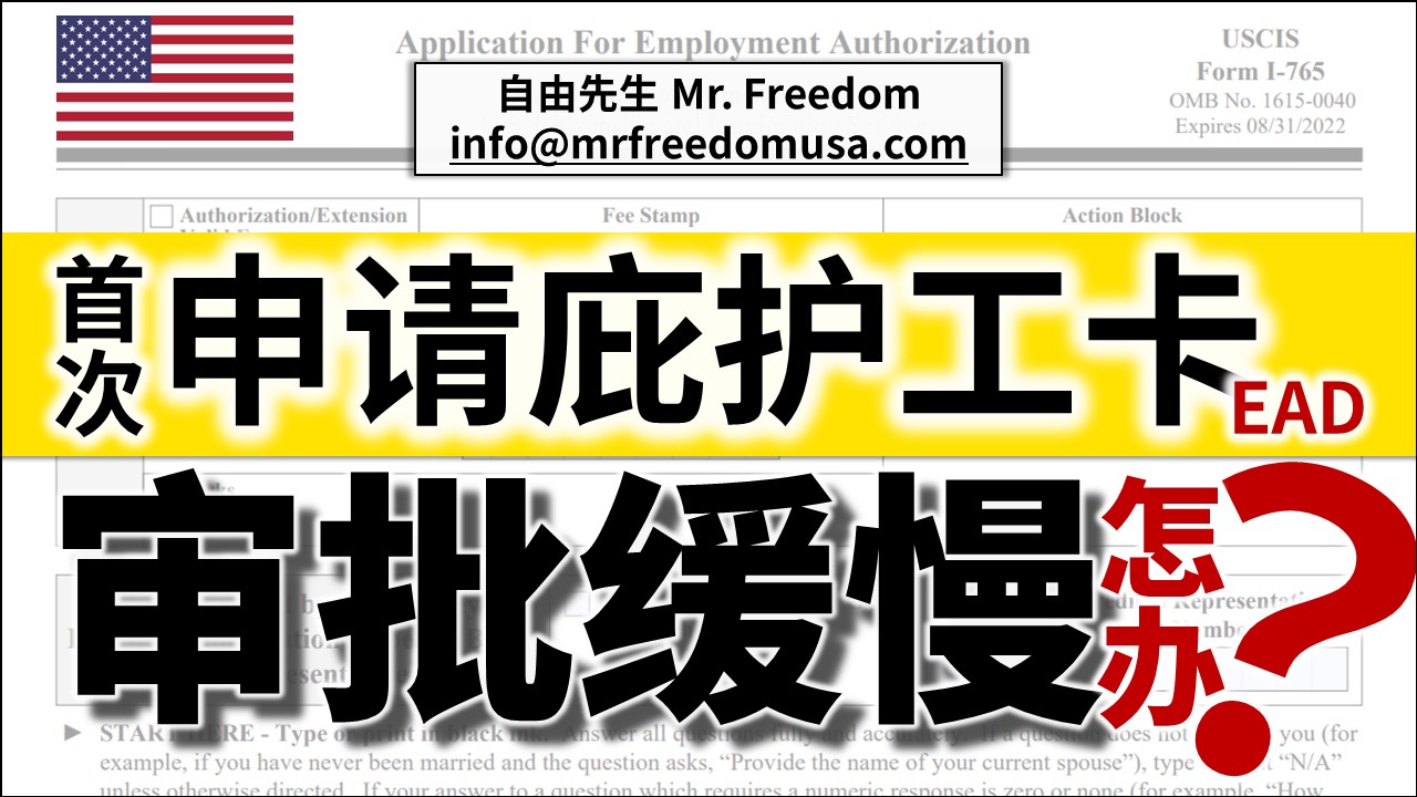 首次申请庇护工卡审批缓慢,怎办? 4 自由先生 Mr. Freedom 首次申请庇护工卡审批缓慢,怎办?