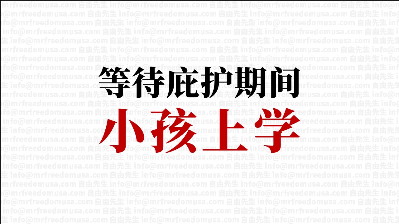 申请庇护后孩子读书怎么办?美国学校和大学政策解析 2 自由先生 Mr. Freedom 申请庇护后孩子读书怎么办?美国学校和大学政策解析