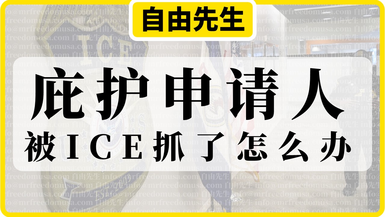 庇护申请人被ICE抓了怎么办？